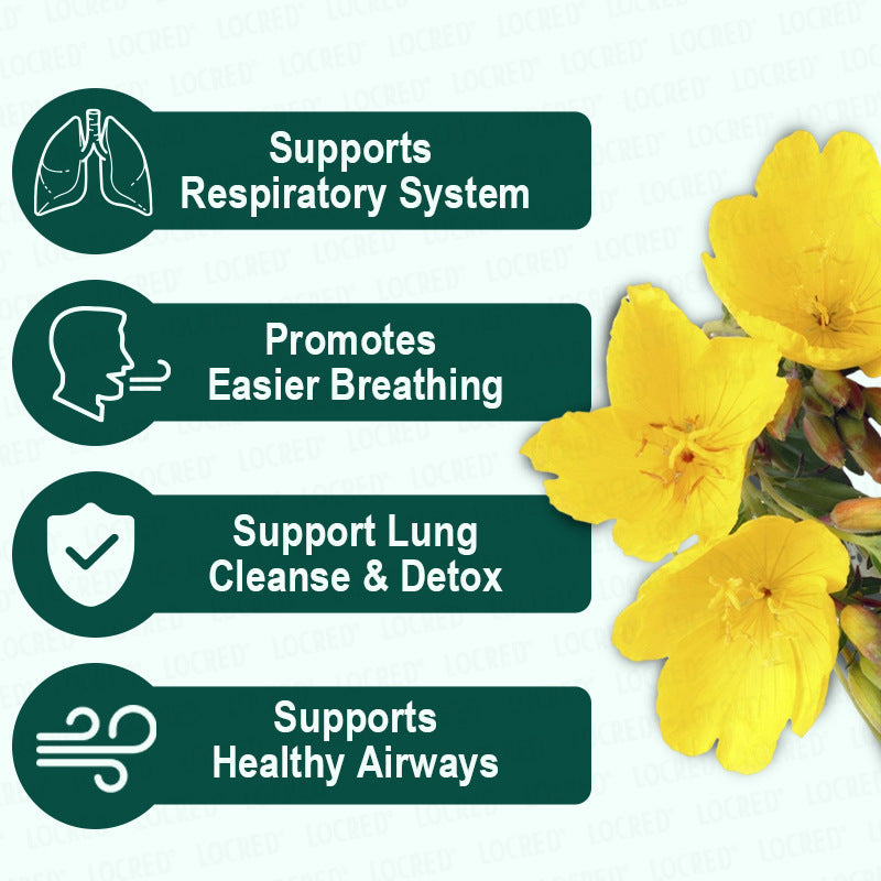 Home Sugar Free Hairy Flower Tea Bag