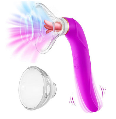 Female Pelvic Floor Muscle Exercise Rehabilitation Apparatus